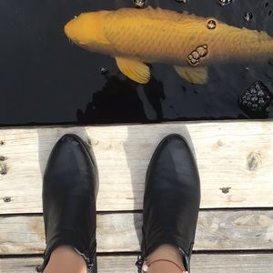 Sam Edelman boots for women’s size 5.